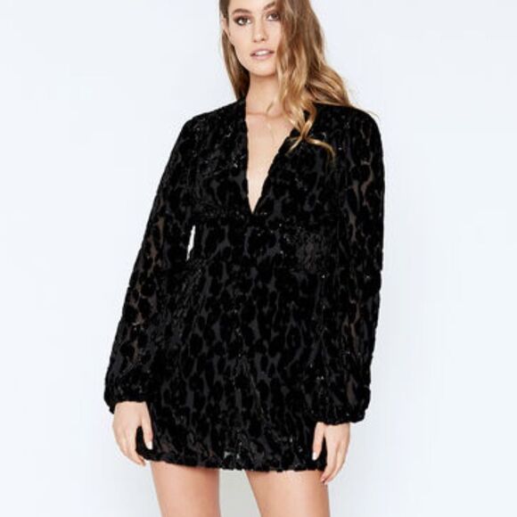 NWT Bardot Burnout Velvet Mini Dress - Picture 8 of 8